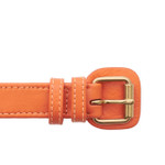  William Walker Leather Dog Harness | Plain Collection | Amber   Pets Own Us