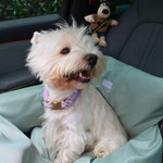  Julibee's Vibrant Waterproof Dog Car Seat | Mint Green | 4 Sizes   Pets Own Us
