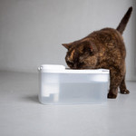  Hoopo® Hydr Cat Water Drinking Fountain | Cordless & Ultra Clean | White  HYDR01 Pets Own Us