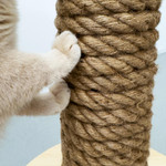  Hoopo® Totem Cat Scratching Post | Natural  TBA1 pets own us