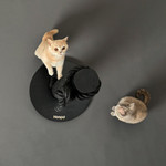  Hoopo® Totem Cat Scratching Post | Black  TBA2 pets own us