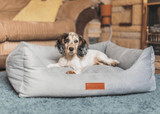  Ralph & Co Orthopedic Memory Foam Dog Bed | Grey  TBA-1-1-1-1-1 Pets Own Us