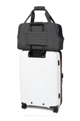  Muffin & Berry Airline & Travel Dog Carrier - Arthur   Pets Own Us