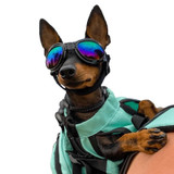 K9 Sports Sack K9 Dog Goggles  42DOGGOGBO Pets Own Us