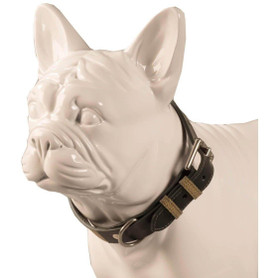 Baker & Bray Chelsea Dog Collar by Baker & Bray - Musgo/Green   Pets Own Us