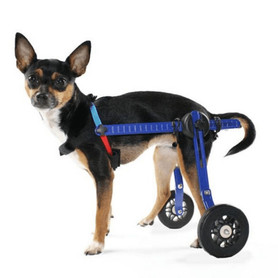 Wheels4Dogs Walkin’ Wheels MINI Dog Wheelchair, Rear   Pets Own Us