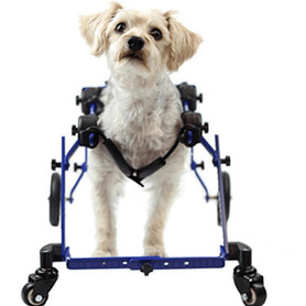 Wheels4Dogs Walkin’ Wheels Full Support/4-Wheel Quad Wheelchair MINI   Pets Own Us