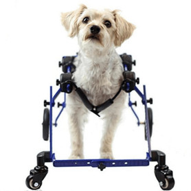 Wheels4Dogs Walkin’ Wheels MINI Front Wheel Attachment   Pets Own Us