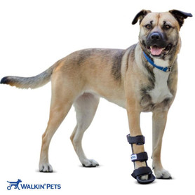 Wheels4Dogs Walkin’ Front Pet Splint   Pets Own Us