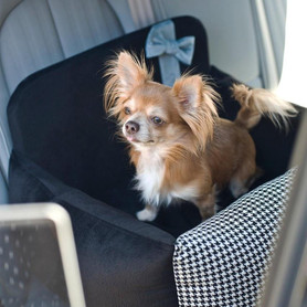  Oh Charlie Luxury Dog Car Seat | Finessa   Pets Own Us