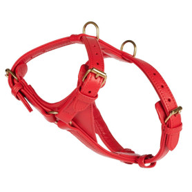  William Walker Leather Dog Harness | Plain Collection | Chili   Pets Own Us