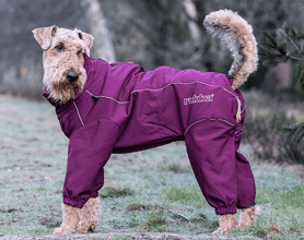 Meet the Brands We Trust: Rukka at Pets Own Us