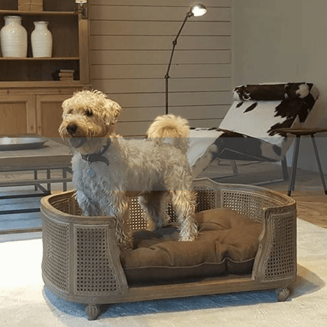 Luxury Dog Beds