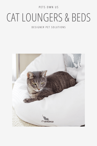 Cat Luxury Loungers | Beds