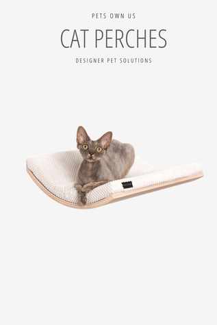 Cat Lounger Shelves & Perches