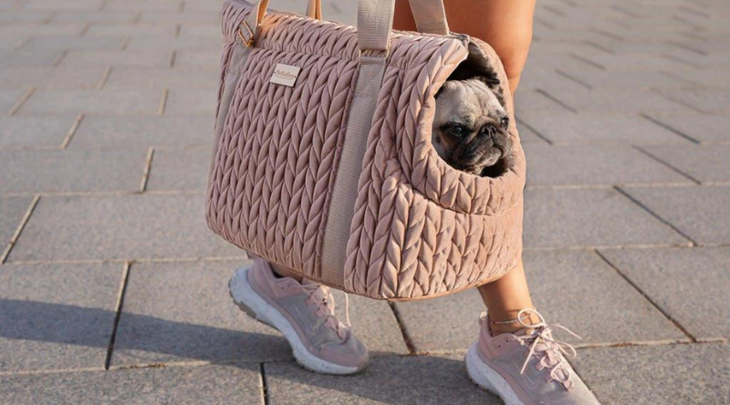 Best Types of Dog Carriers Compared