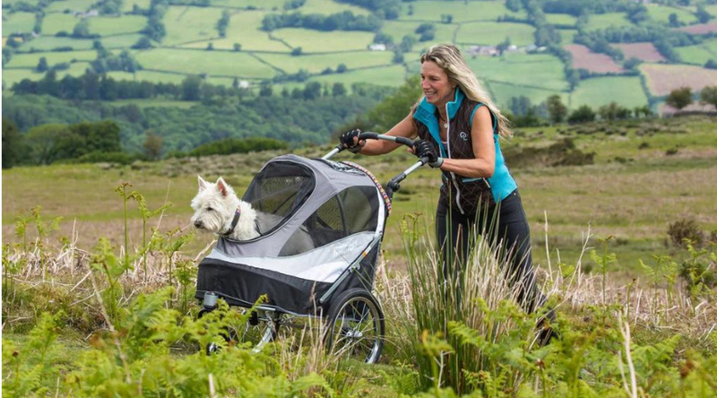 Sporty Dog Stroller, Paw-fect solution for Yogi