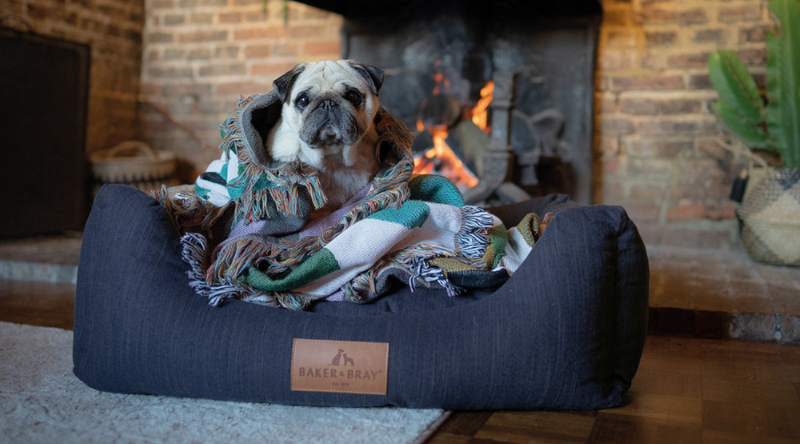 10 Luxury & Orthopedic Dog Beds UK