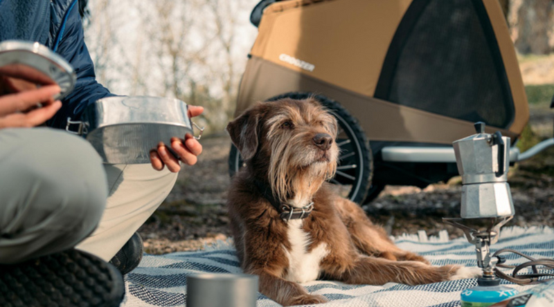 Best Dog Stroller for Hiking in the UK