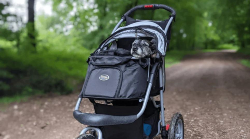 When Should You Use a Dog Stroller?