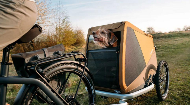 7 Best Dog Bike Trailers 2025 compared, cycle with your best buddy anywhere!