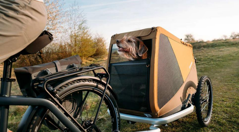 6 Best Dog Bike Trailers 2024 compared, cycle with your best buddy anywhere!