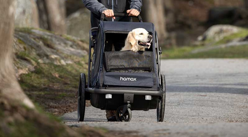 Tips to consider before purchasing a Dog Stroller