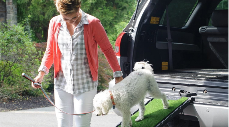 Best Dog Car Ramps. Slip Proof Grass For Large Dogs