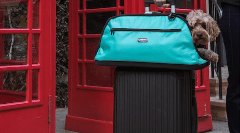 Sleepypod carriers now available in the UK