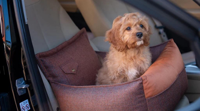 Dog Car Seats for Small Dogs