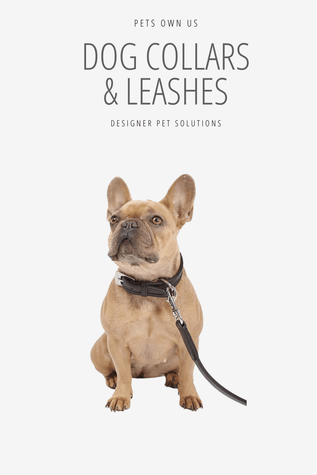 Collars & Leashes - Dog