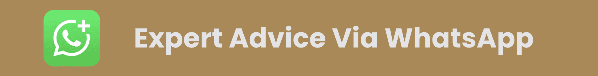 WhatsApp Expert Advice