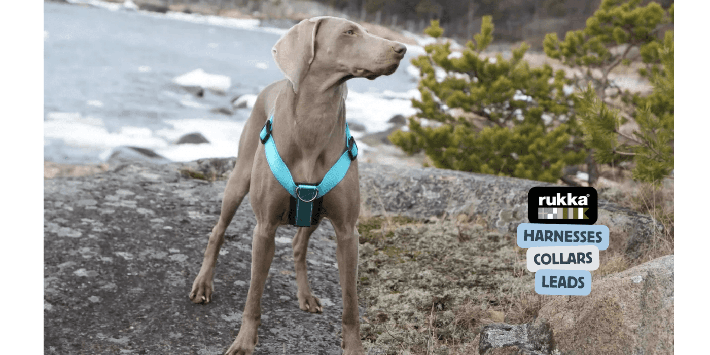 Rukka Dog Collection  No matter the weather—whether it's hot or cold, raining, sleeting, or gusty winds—you’ll never miss your dog’s daily walk. That’s why Rukka Pets designs products to keep your dog protected in all conditions, even the harshest ones.