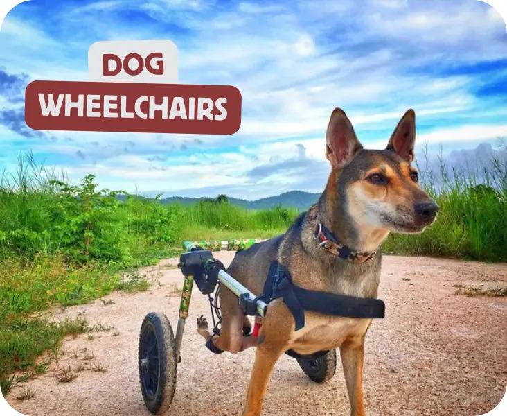 Pets Own Us Dog WheelChairs
