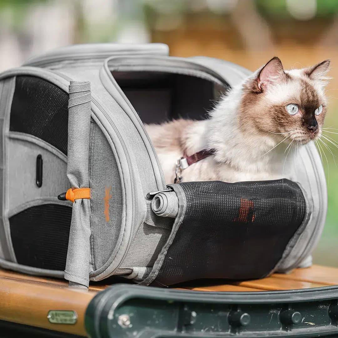 Bag Best Cat Basket Best Cat Bag Cat Carriers For Planes Airline