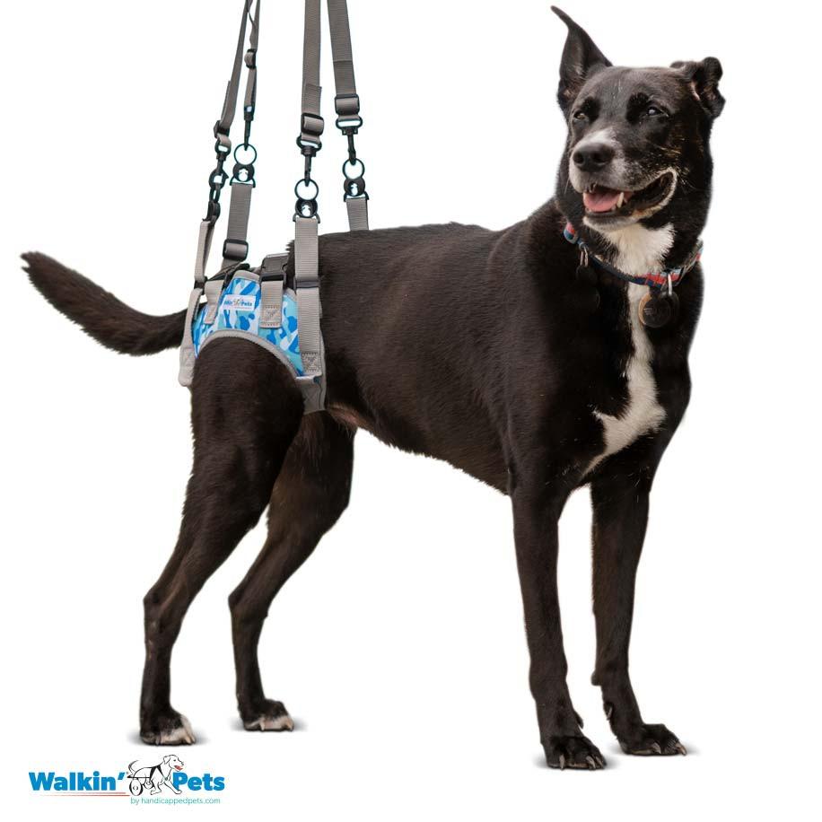 Walkin' Pets Warrior Rear Harness