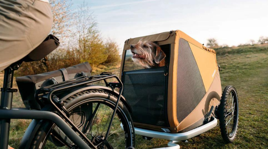 Lucky Dog Bike Trailer/Stroller Combo