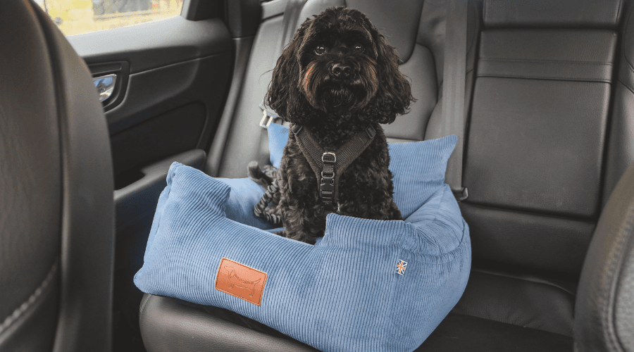 Are dog car seats a good idea? 