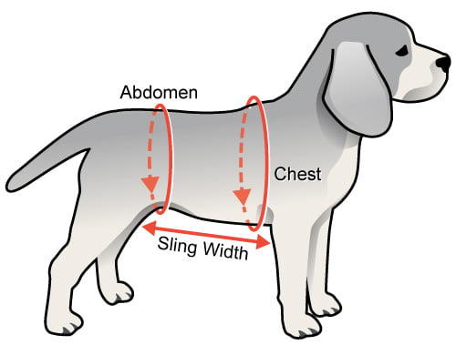 support sling measurement