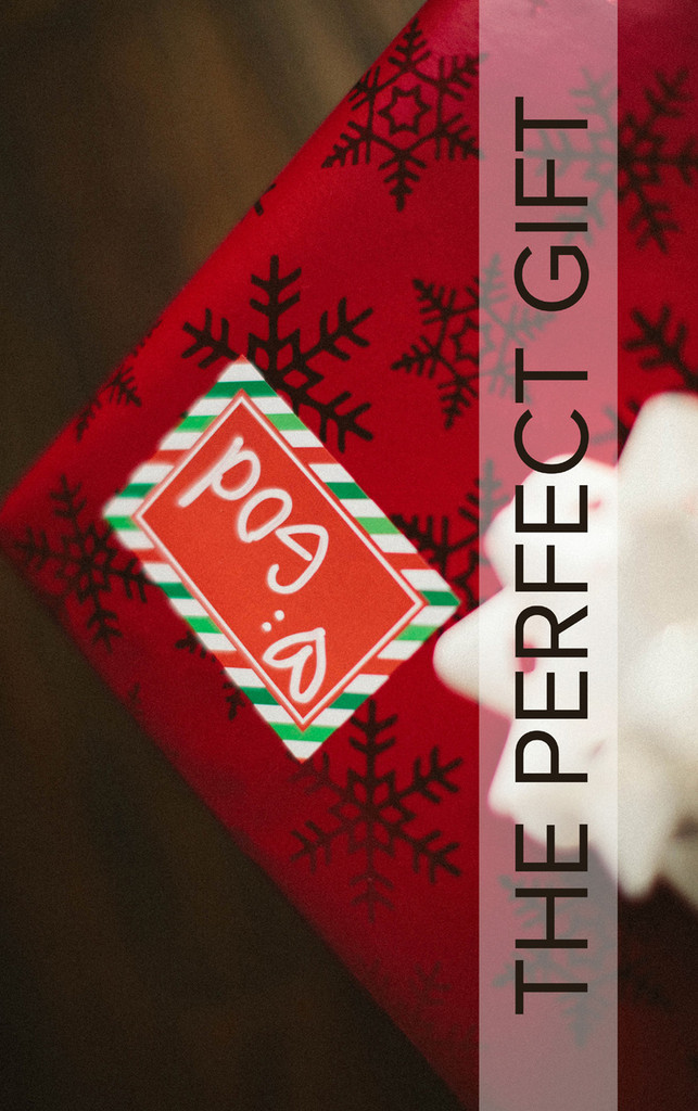 The Perfect Gift-God's Gift