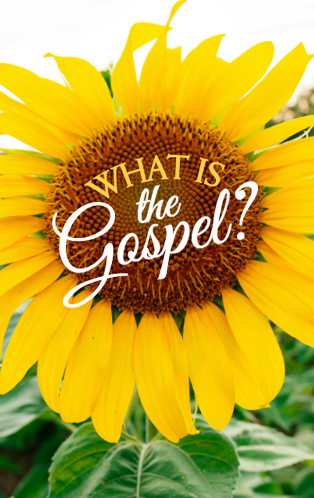 What is the Gospel? Sunflower