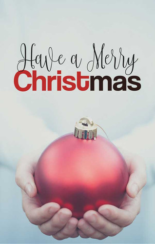 Have a Merry Christmas-Big Bulb