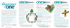 Back panel of “The Importance of One – Teal Arrows” gospel tract