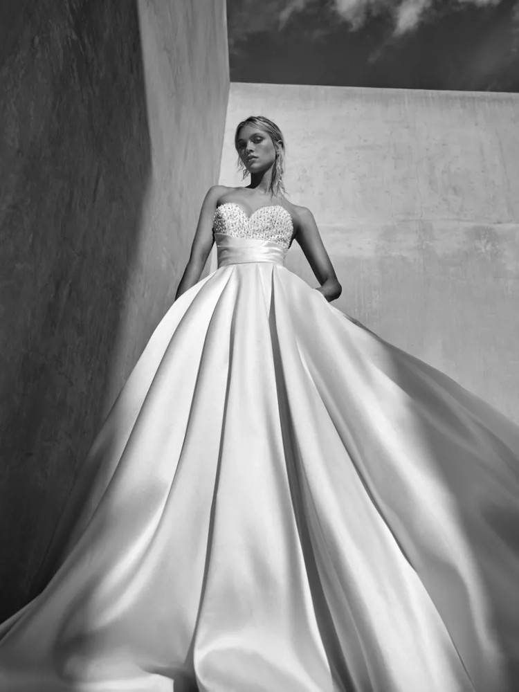 Luise Ballgown With Beaded Bodice and Detachable Bow by Pronovias (pre order now)