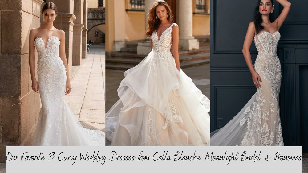 Our Favorite 3 Curvy Wedding Dresses from Calla Blanche, Moonlight Bridal & Pronovias