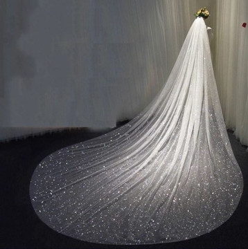 Long Single Tier Shimmering Glitter Bridal Veil 3M & 3.5M