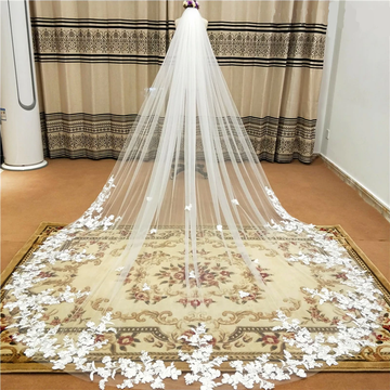 Lace Applique Single Layer 5m Cathedral Wedding Veil