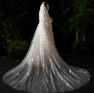  Long Double Tier Shimmering Glitter Bridal Veil with Pearls & Ribbon Edge 