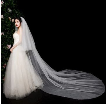 2 Tier Long Cathedral Simple Soft Tulle Wedding Veil 3M