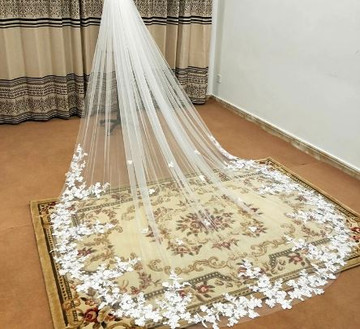 Cathedral One Layer White Wedding Veil With Lace Edge  300cm 